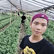 ZawHtey