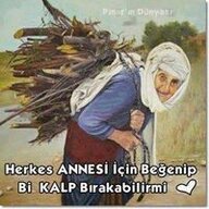 mehmet833