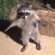raptooor