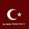 TurkisPower