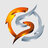 ali qr